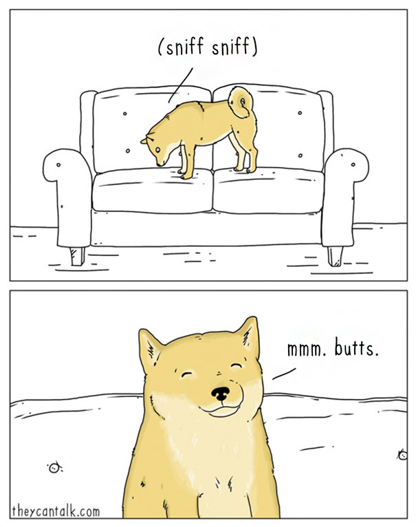 双语漫画：如果动物会说人话