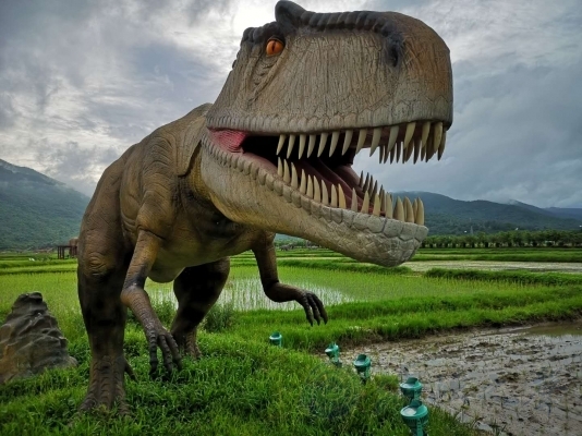 三亚水稻国家公园“恐龙+水稻”感受南繁科技