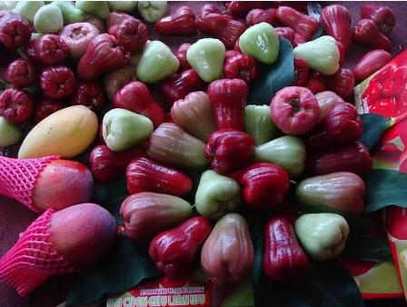 带上这份地图 吃遍台湾好吃的水果