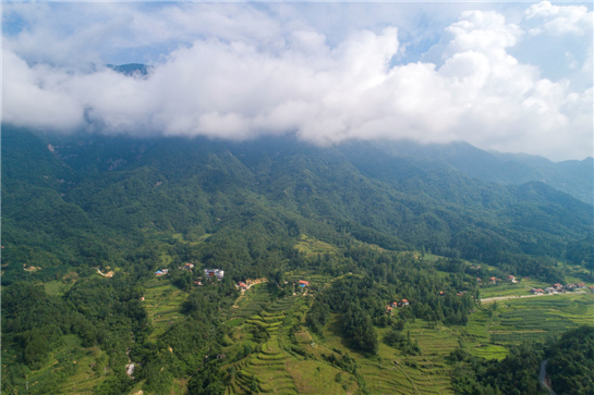 汉中勉县云雾山风景区图片