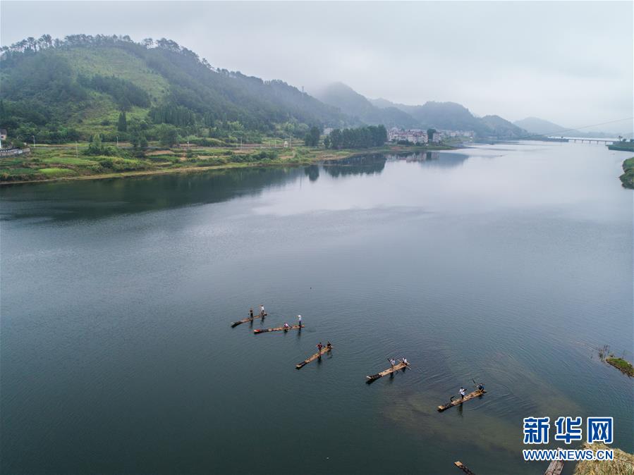 千岛湖开渔展现“水清鱼欢”美丽生态