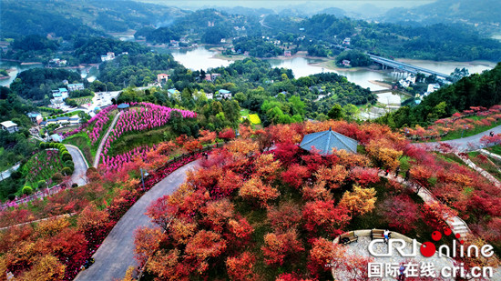 图片默认标题_fororder_南湖多彩植物园 孙玉龙 摄