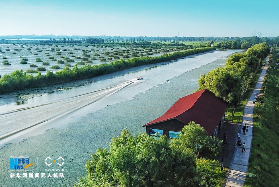 安徽淮安航拍淮河之滨焦岗湖生态之美似画卷