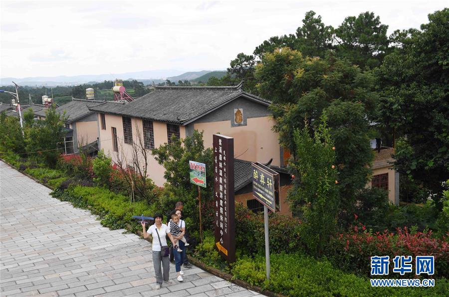 云南楚雄：紫溪彝村风光美