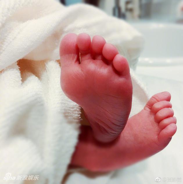 贾静雯三胎再产女 小女儿像修杰楷有小酒窝