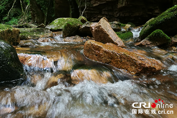 【原创待审】五女峰国家森林公园：森林旅游正当时（焦点图）