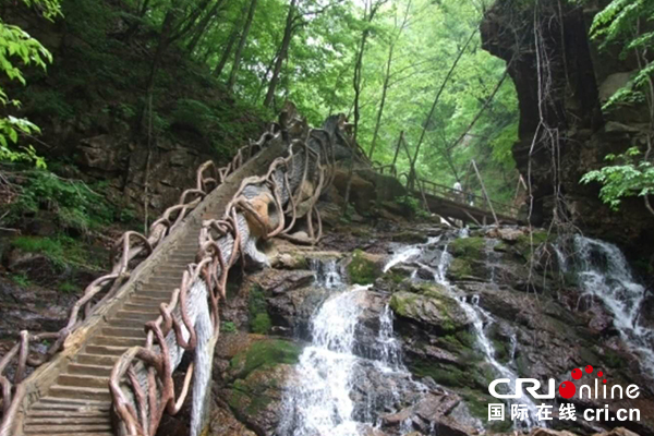 【原创待审】五女峰国家森林公园：森林旅游正当时（焦点图）