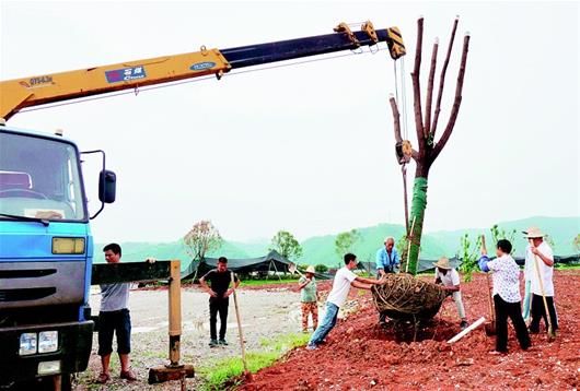 十堰市鄖陽區打造漢江綠色長廊