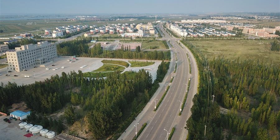 綠富同興畫卷在沙海中鋪展——庫布其沙漠生態治理紀實