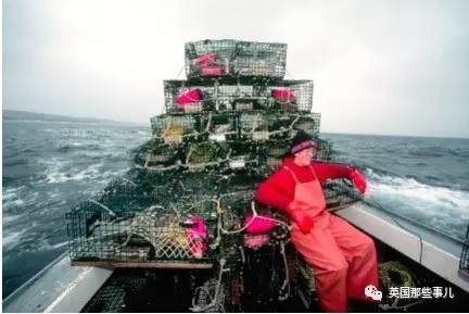 中国吃货救活美国龙虾产业 这功力我还是服的