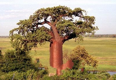 图片默认标题_fororder_8-81