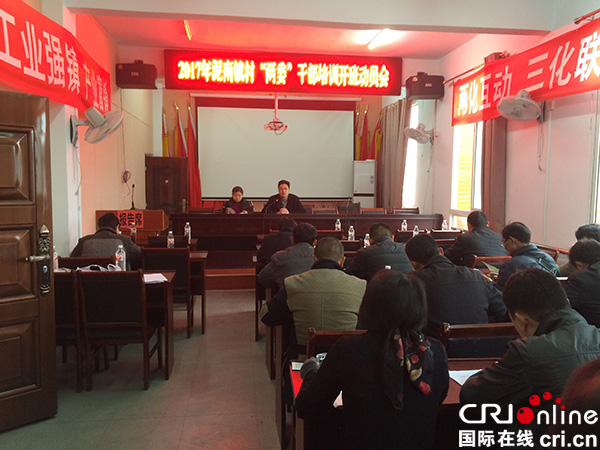 宜宾泥南镇开展2017年村"两委"干部培训