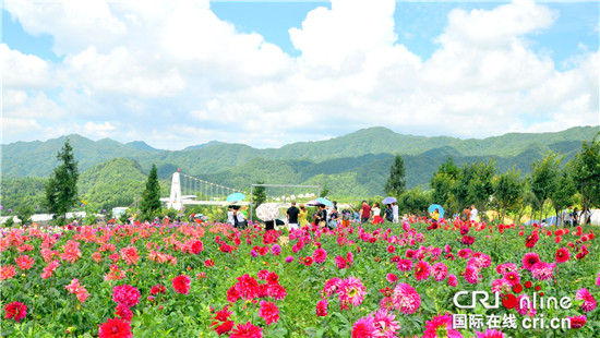 【行遊巴渝 圖文】重慶石柱：雲中花都好消夏