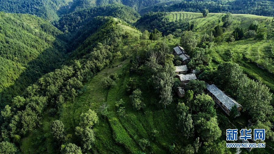 鞑子梁：秦岭原始民居的活化石