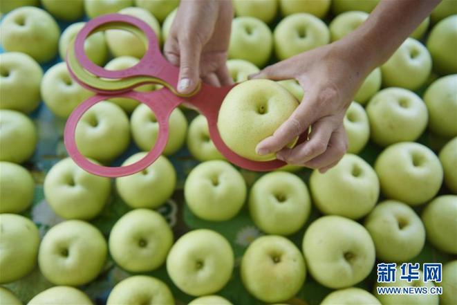 图片默认标题_fororder_129926602_15333666880231n