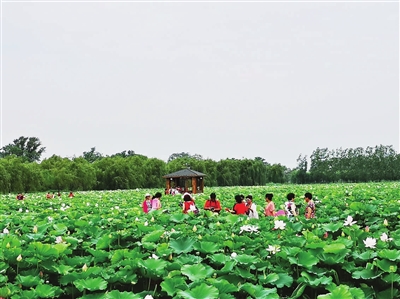 遼寧民宿如何打破“農家樂”初級階段局面？