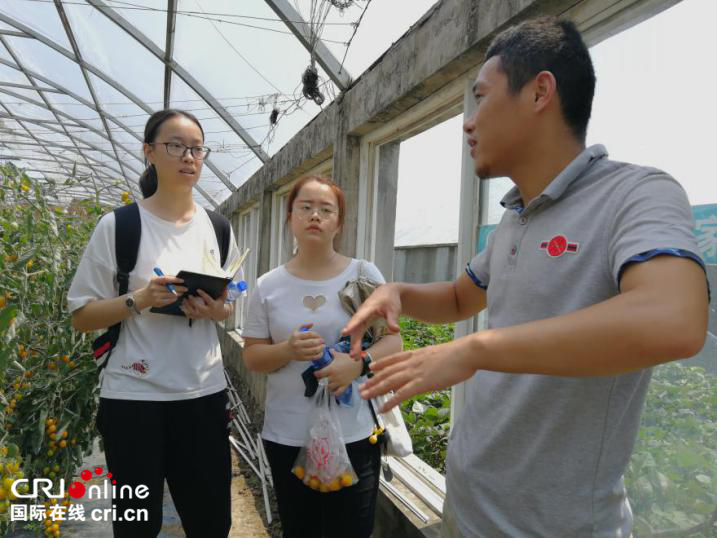 东北大学学子深入农业示范基地 关注都市农业大发展