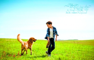 三月银幕主打以情动人 "跨物种"情谊击中观众泪点