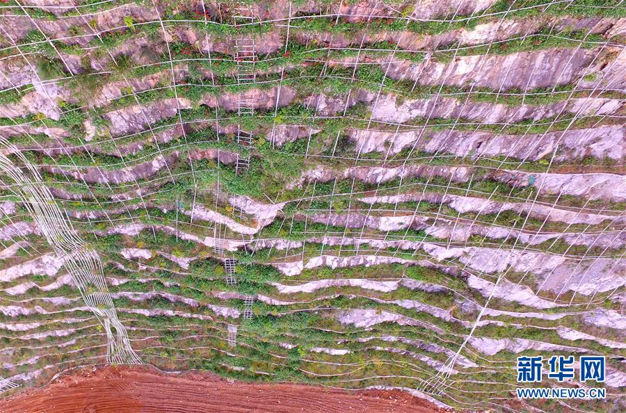 广西柳州对废弃采石山进行生态修复