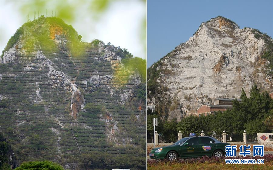 广西柳州对废弃采石山进行生态修复