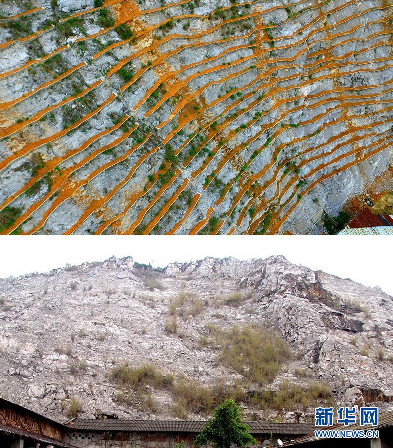 广西柳州对废弃采石山进行生态修复