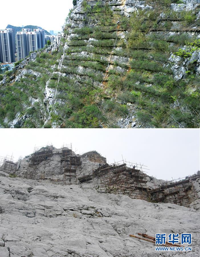广西柳州对废弃采石山进行生态修复