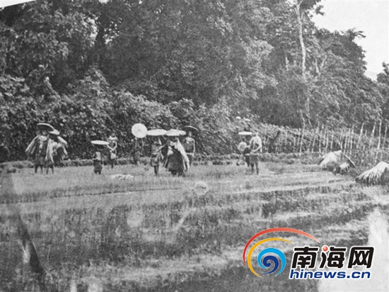 煙雨蓑衣東坡笠：海南人內心抹不掉的鄉情與鄉愁