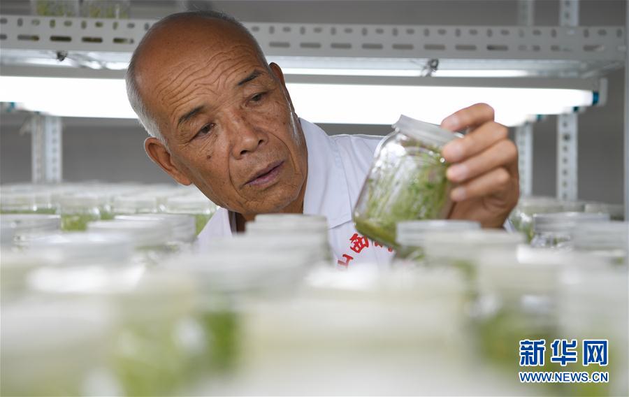 圖片默認標題_fororder_2