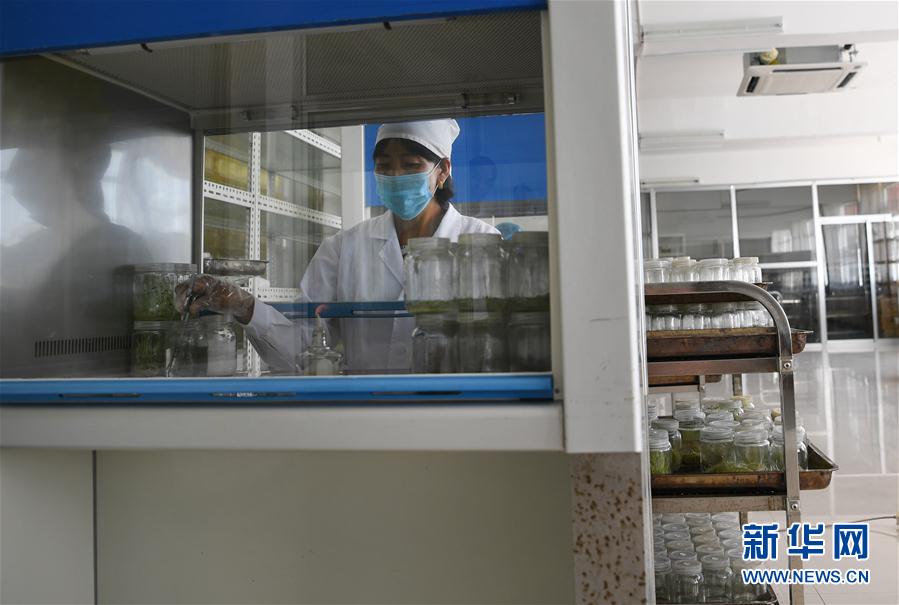 圖片默認標題_fororder_6