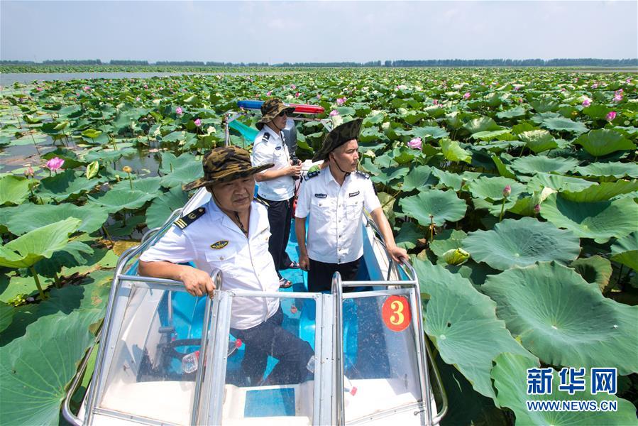 守護一湖碧水——新時代的“洪湖護衛隊”