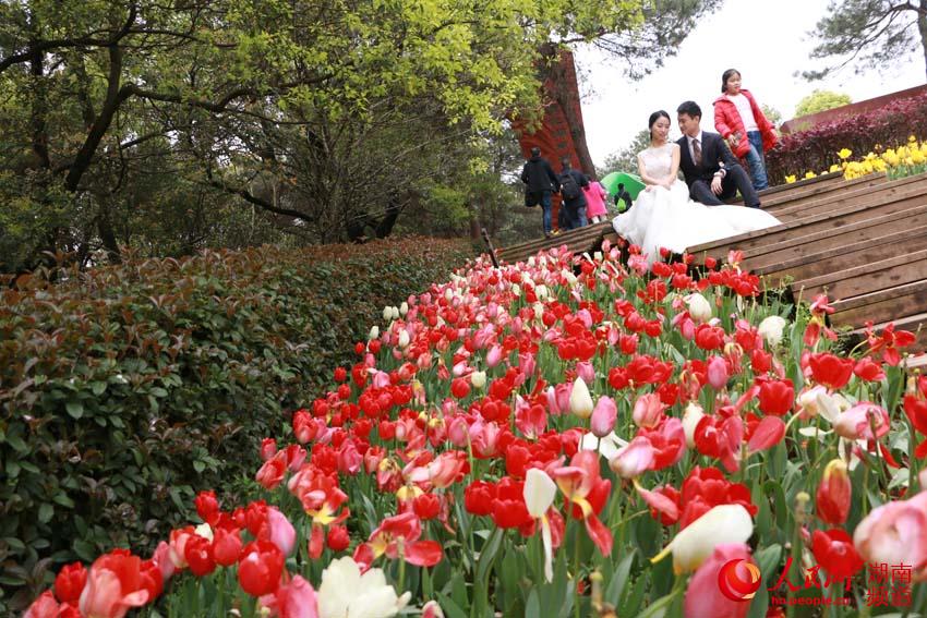 图片默认标题 图片默认标题