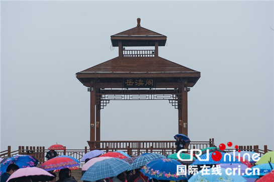 图片默认标题