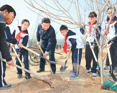 习近平总书记植树地回访:绿色发展理念深植百姓心间