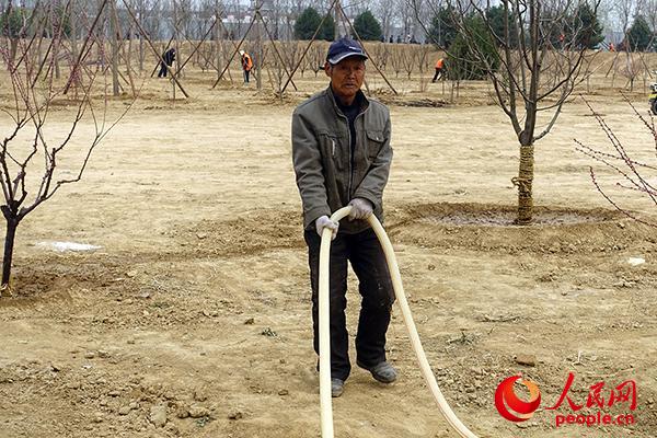 习近平总书记植树地回访:绿色发展理念深植百姓心间