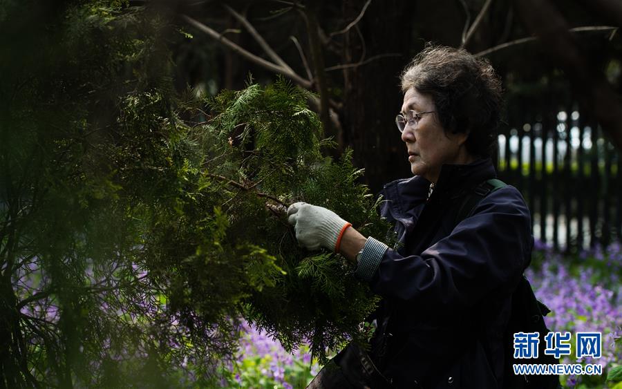 日本植树访华团持续32年悼念南京大屠杀遇难者