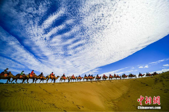 อูฐกว่า 1,000 ตัวรอต้อนรับนักท่องเที่ยวเยือนเมืองตุนหวง