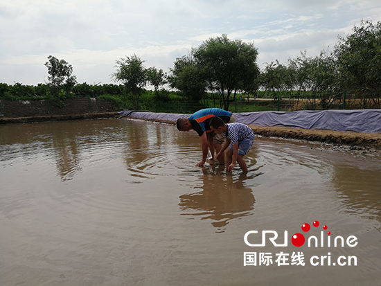 捉泥鰍池:2000平方米的兒童泥鰍池,放養了30公斤泥鰍魚供遊客捕捉,水深15釐米的泥鰍池,既有捉泥鰍的樂趣,又能保證遊客安全。 捉泥鰍池:2000平方米的兒童泥鰍池,放養了30公斤泥鰍魚供遊客捕捉,水深15釐米的泥鰍池,既有捉泥鰍的樂趣,又能保證遊客安全。_fororder_捉泥鰍池:2000平方米的兒童泥鰍池,放養了30公斤泥鰍魚供遊客捕捉,水深15釐米的泥鰍池,既有捉泥鰍的樂趣,又能保證遊客安全。