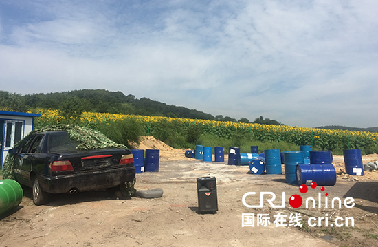 “真人吃雞”遊戲:在葵花花海內有一個大型真人野外槍械拓展訓練場地,場地佔地面積約為1萬平方米,真實材料結合野外搭建的場地,採用先進的電子鐳射設備,高度還原槍械的質感,和戰場的氛圍,多種的遊戲體驗模式,感受“戰場”的硝煙瀰漫和緊張刺激的遊戲體驗。 “真人吃雞”遊戲:在葵花花海內有一個大型真人野外槍械拓展訓練場地,場地佔地面積約為1萬平方米,真實材料結合野外搭建的場地,採用先進的電子鐳射設備,高度還原槍械的質感,和戰場的氛圍,多種的遊戲體驗模式,感受“戰場”的硝煙瀰漫和緊張刺激的遊戲體驗。_fororder_“真人吃雞”遊戲:在葵花花海內有一個大型真人野外槍械拓展訓練場地,場地佔地面積約為1萬平方米,真實材料結合野外搭建的場地,採用先進的電子鐳射設備,高度還原槍械的質感,和戰場的氛圍,多種的遊戲體驗模式,感受“戰場”的硝煙瀰漫和緊張刺激的遊戲體驗。