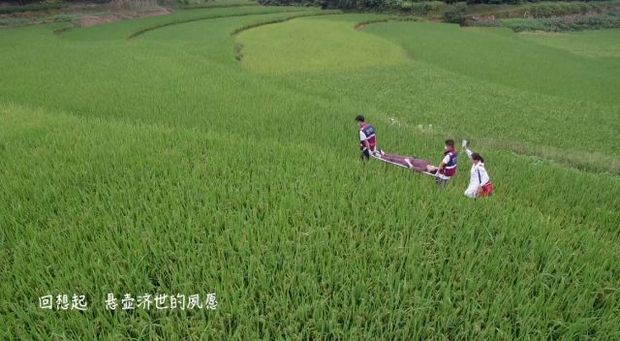 新華視點丨醫之行者