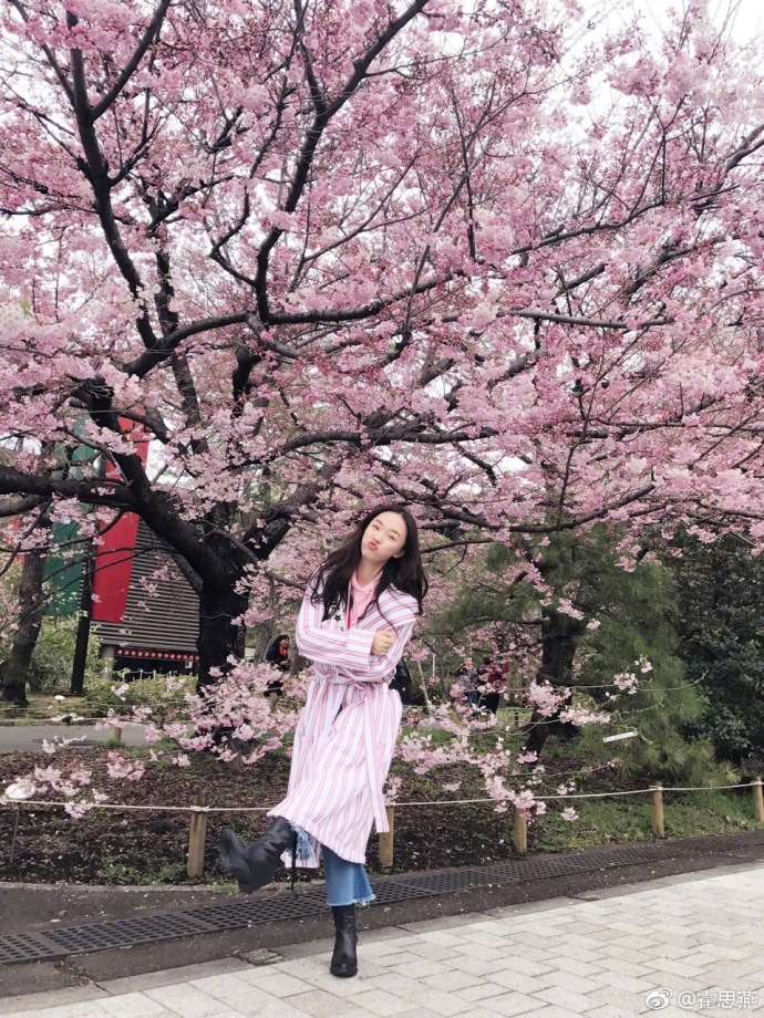 霍思燕花树下凹造型 小嗯哼懒理妈妈只看花(图)