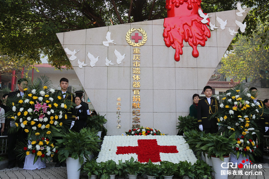 以爱为名 2017年重庆市遗体器官缅怀纪念活动举行