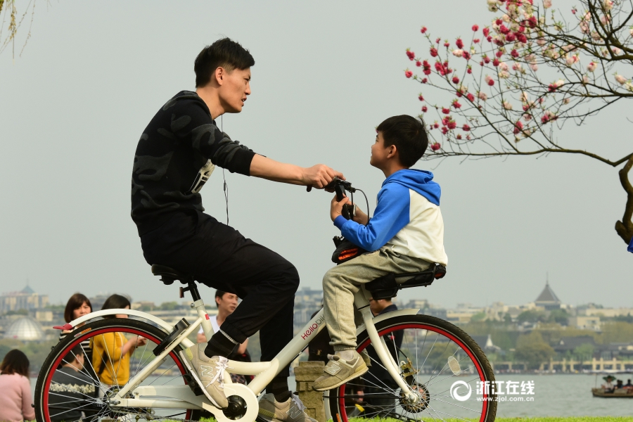 太危险！杭州有些家长竟用共享单车车兜载娃