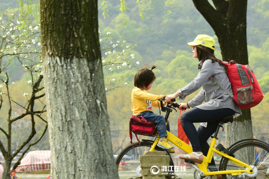 太危险！杭州有些家长竟用共享单车车兜载娃