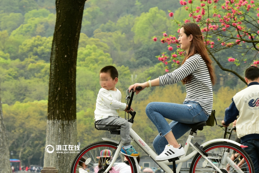 太危险！杭州有些家长竟用共享单车车兜载娃