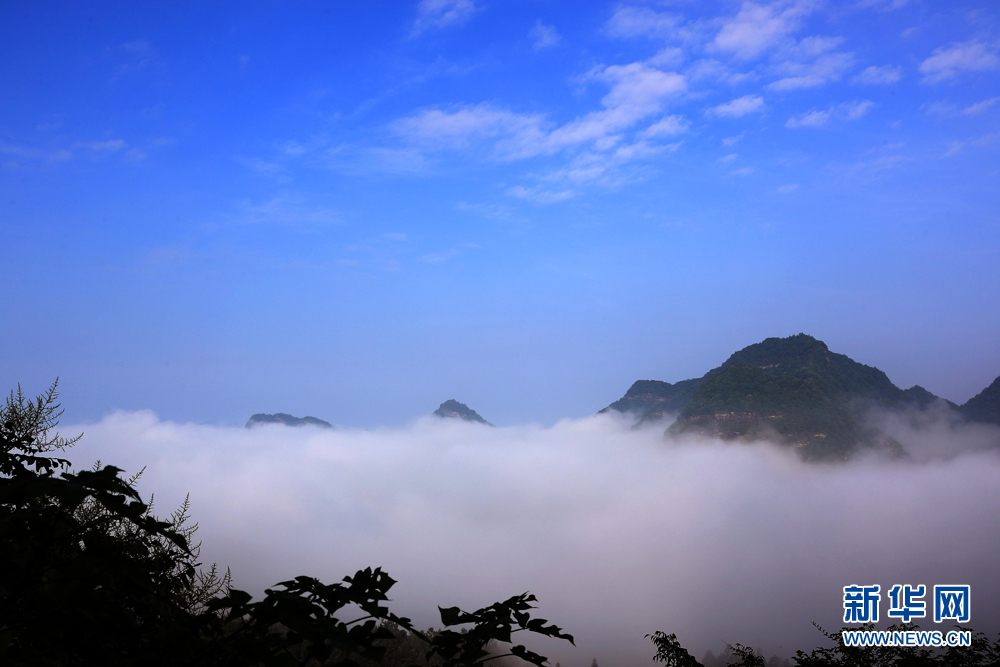 安徽黄山：雨后初霁 齐云山现今秋首场壮观云海