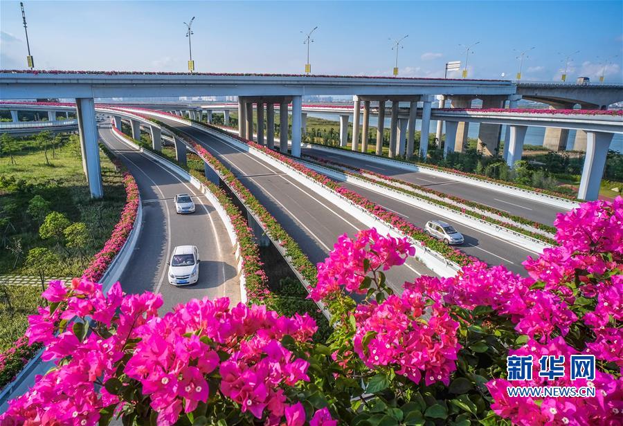 福建泉州：花開立交橋