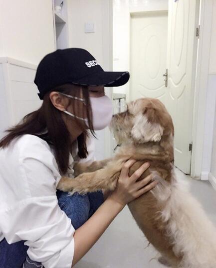 秦岚晒"福报"不惧危险救生命(图)