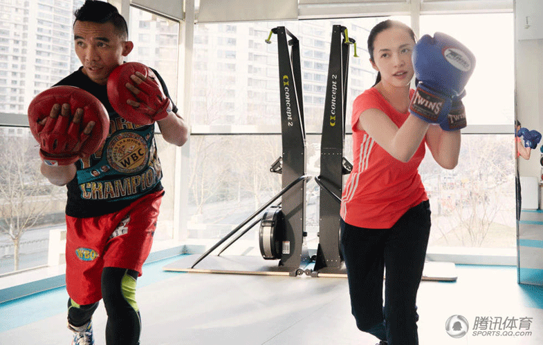 姚晨拜师鬼绞王姚红刚 称要进军职业拳击