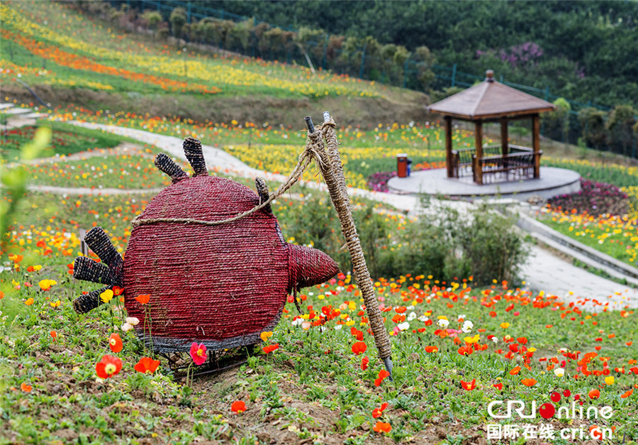 清明节期间 四川仙山花谷百花争艳迎宾客