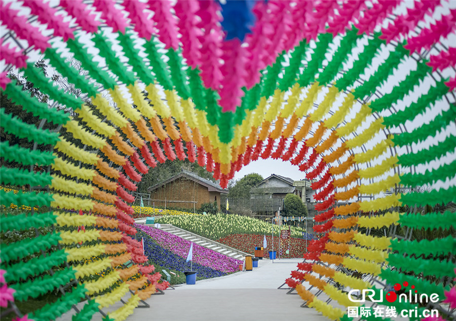 清明节期间 四川仙山花谷百花争艳迎宾客